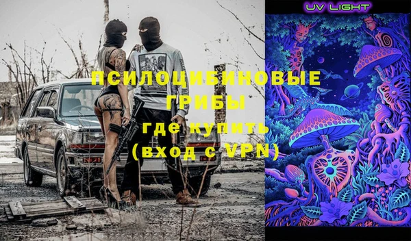 гашик Нязепетровск