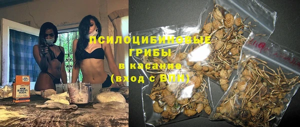 винт Нягань