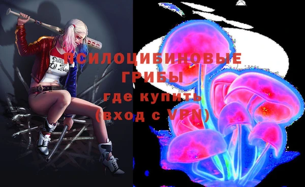 прущие крисы Абинск