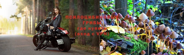 а пвп мука Няндома