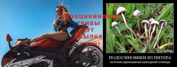 а пвп мука Няндома